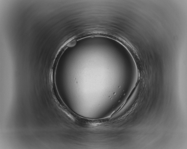 X0000116260790200912071021