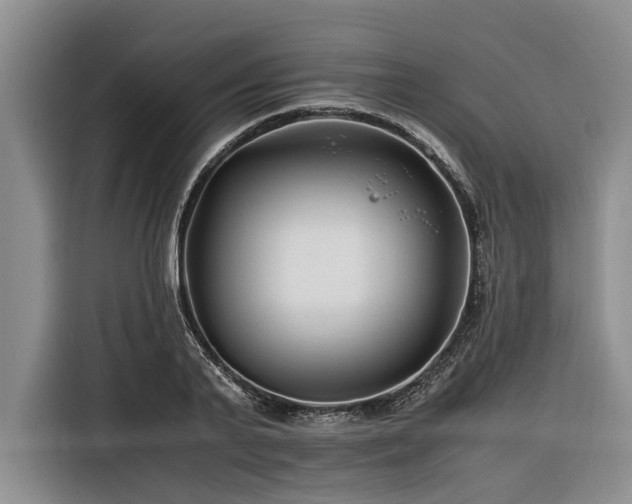 X0000116260791200912071021
