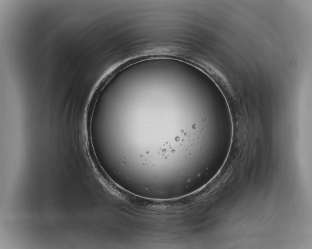 X0000116260792200912071021