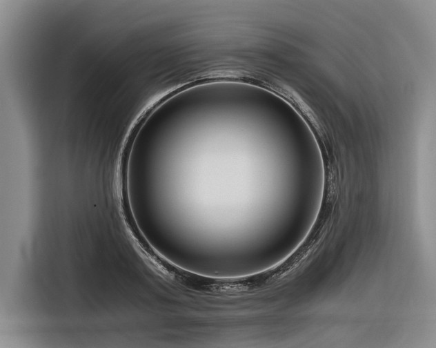 X0000116260795200912071021