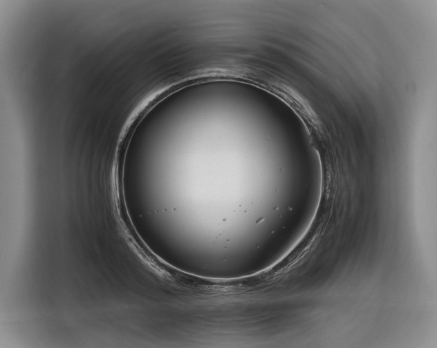 X0000116260796200912071021