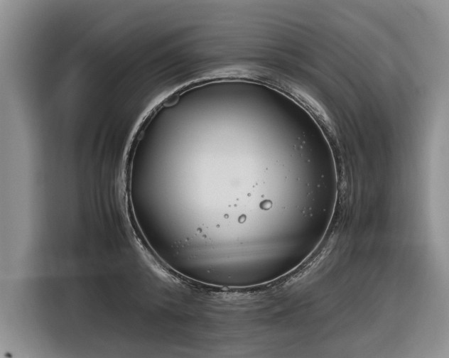 X0000116260800200912071021