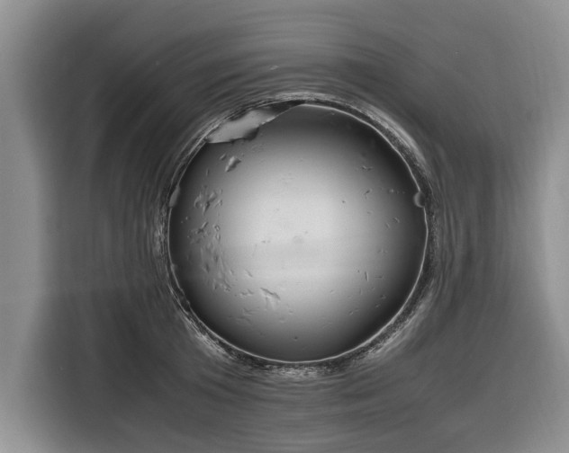 X0000116260801200912071021