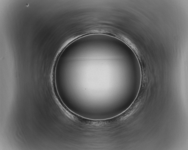 X0000116260803200912071021