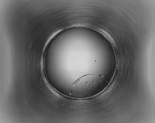 X0000116260804200912071021