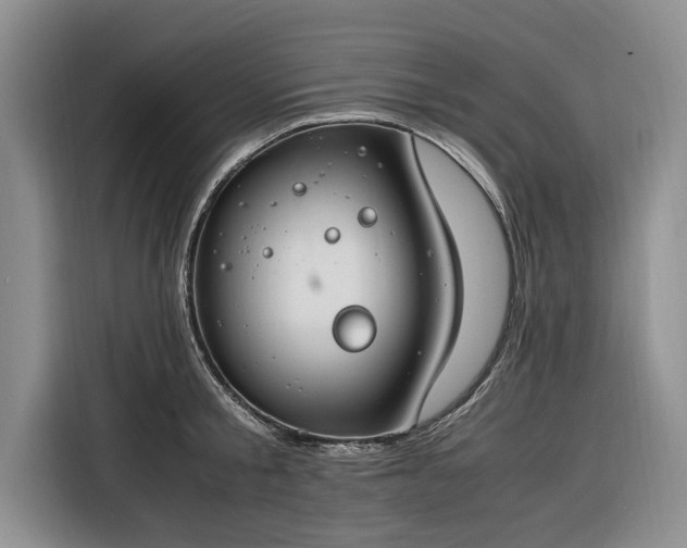 X0000116260805200912071021
