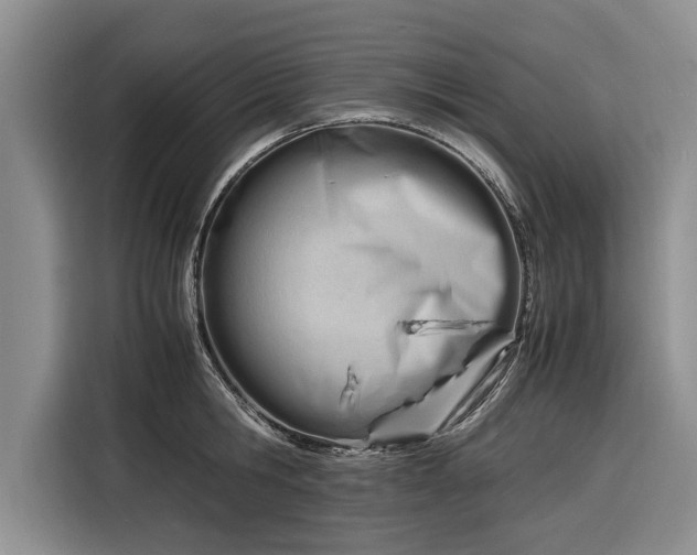 X0000116260806200912071021