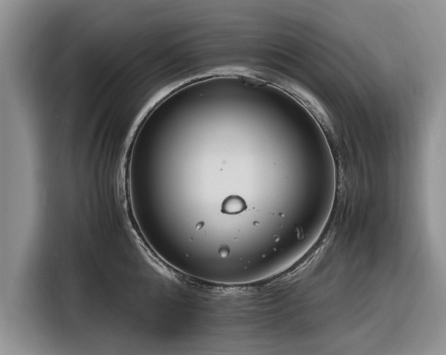 X0000116260808200912071021