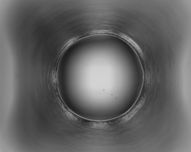X0000116260809200912071021