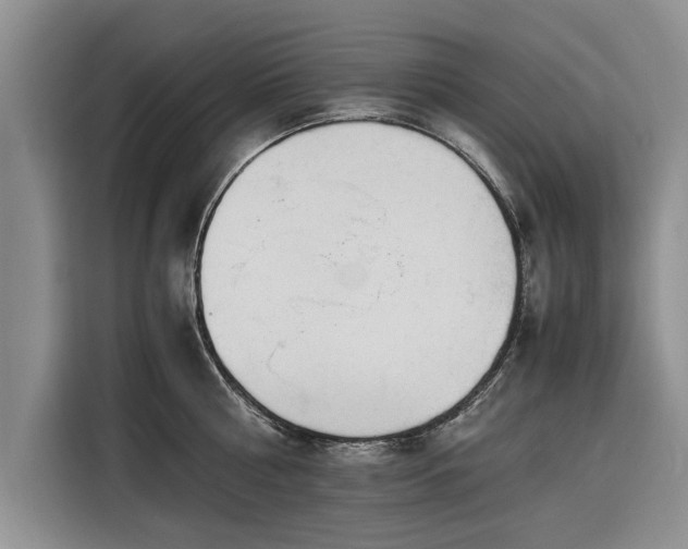 X0000116260810200912071021