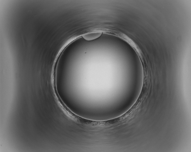 X0000116260811200912071021