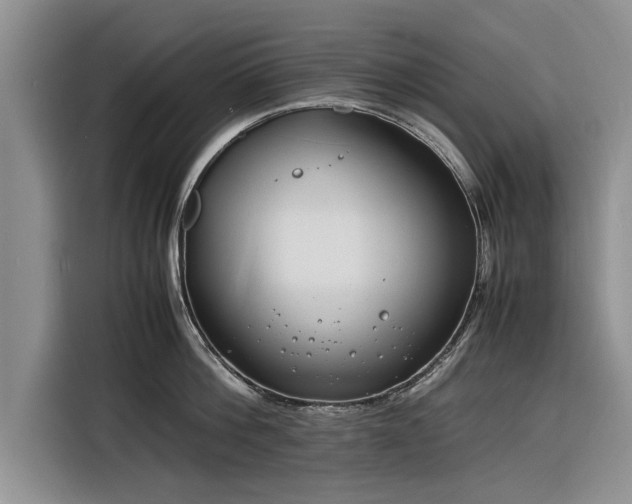 X0000116260812200912071021