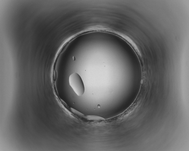 X0000116260815200912071021