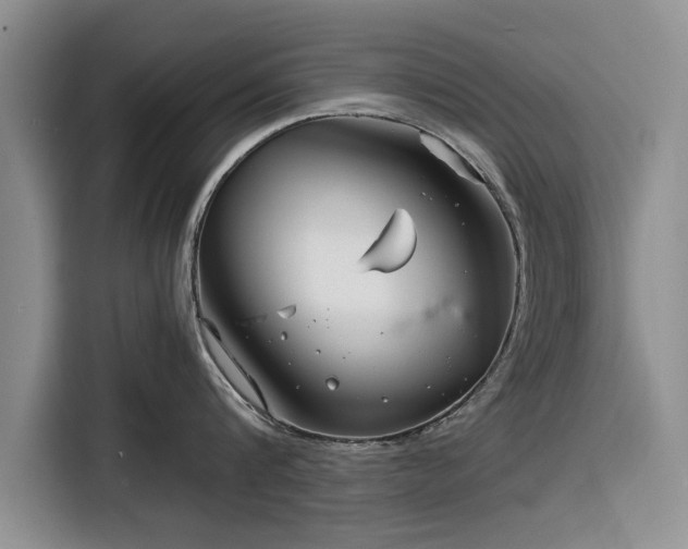X0000116260816200912071021
