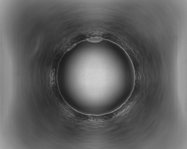 X0000116260818200912071020
