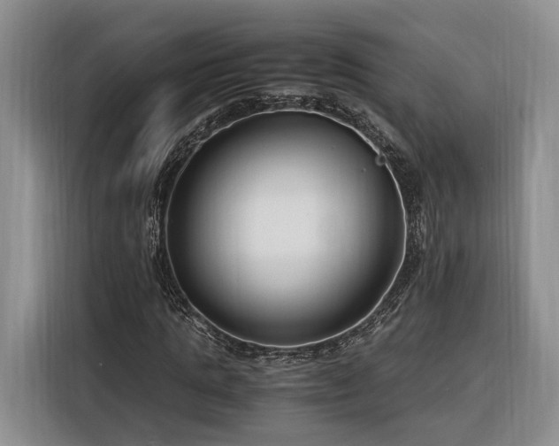 X0000116260821200912071020