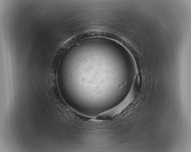 X0000116260822200912071020