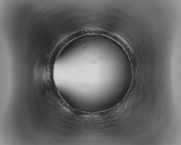 X0000116260823200912071020