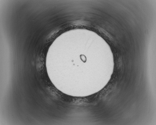 X0000116260824200912071020