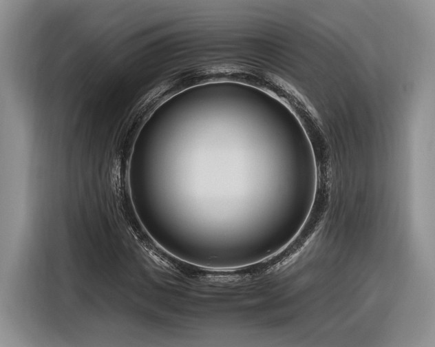 X0000116260825200912071020