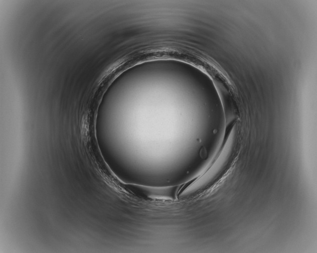 X0000116260826200912071020