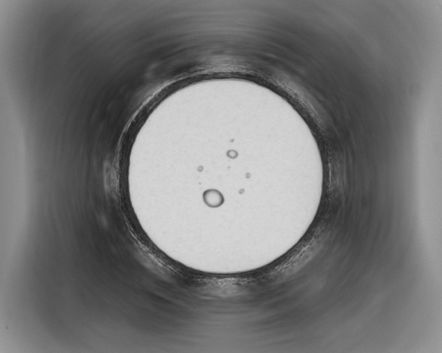 X0000116260828200912071020