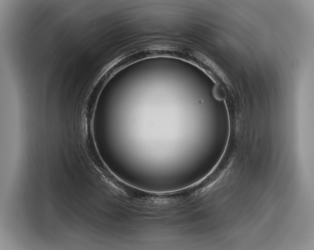 X0000116260829200912071020