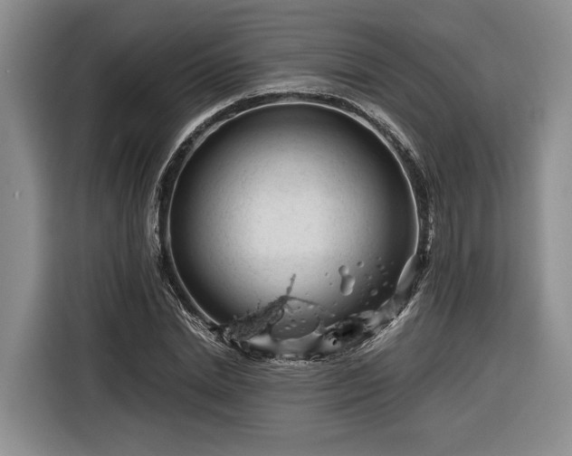 X0000116260830200912071020