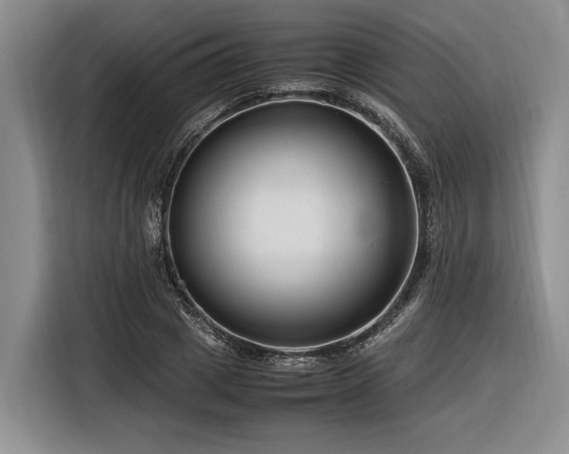 X0000116260833200912071020