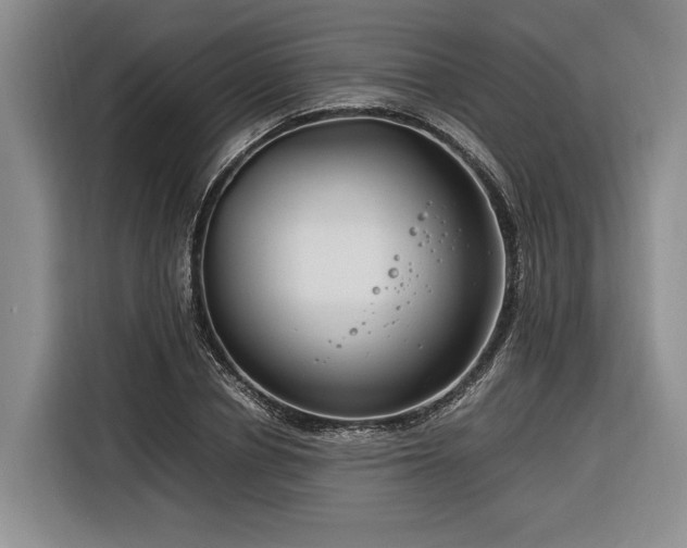 X0000116260834200912071020