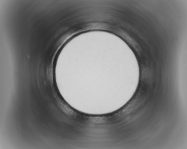 X0000116260836200912071020