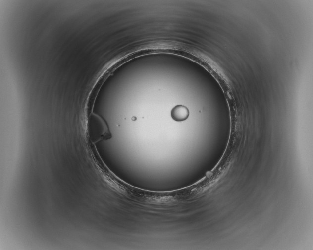X0000116260837200912071021