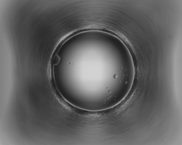 X0000116260838200912071021
