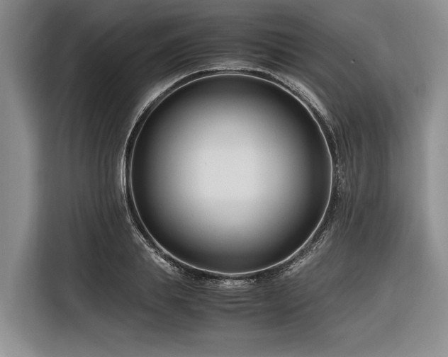 X0000116260839200912071021