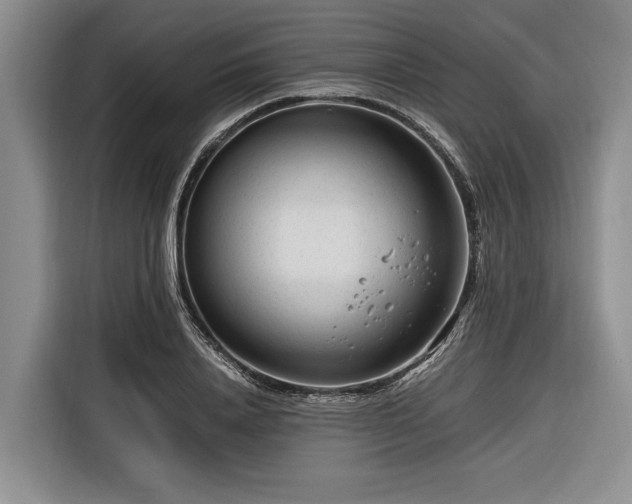 X0000116260840200912071021