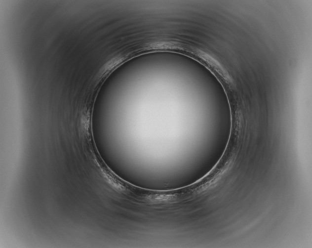 X0000116260841200912071021
