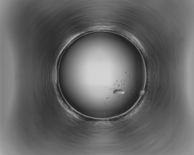 X0000116260844200912071021