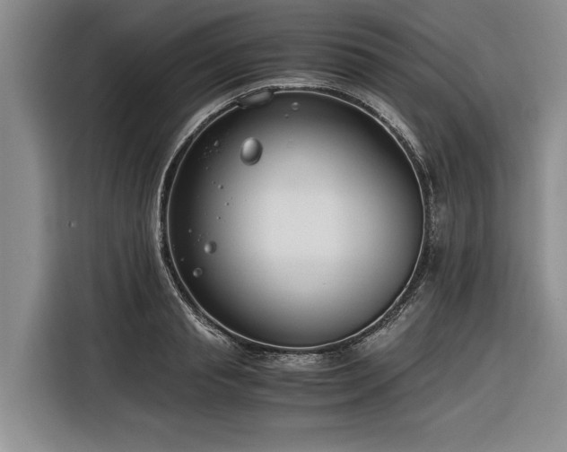 X0000116260845200912071021