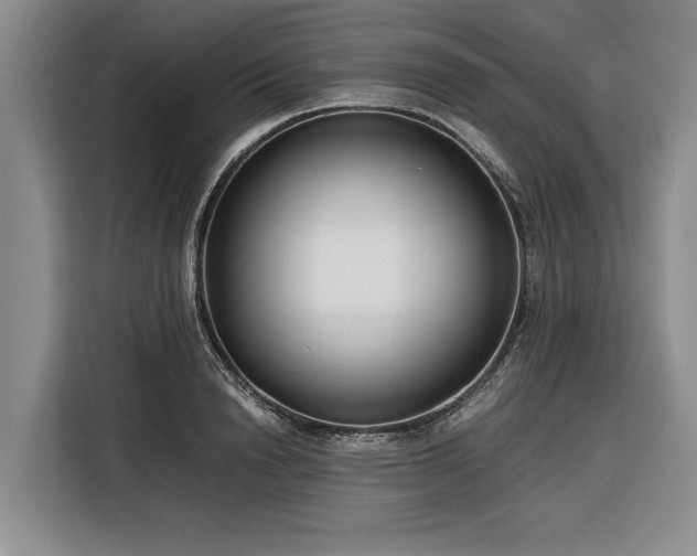 X0000116260846200912071021