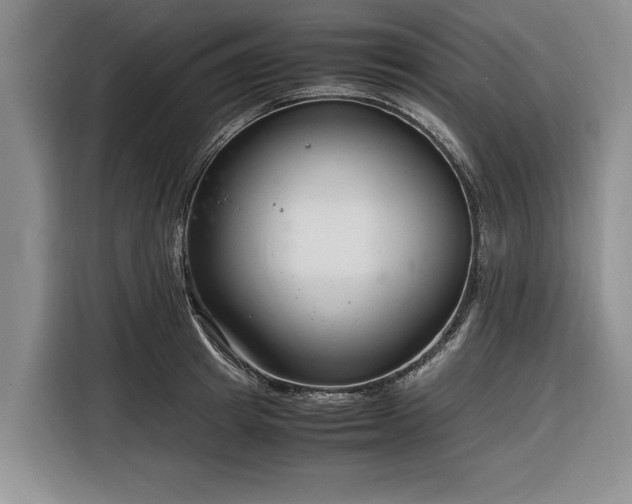 X0000116260849200912071021