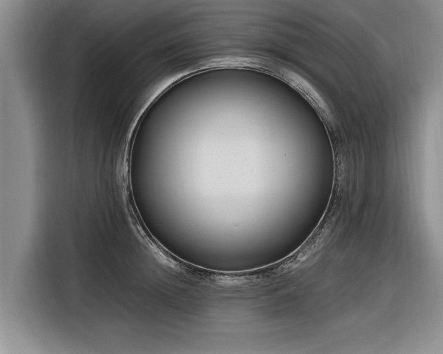 X0000116260852200912071021