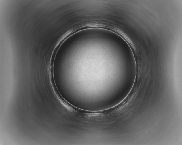 X0000116260853200912071021