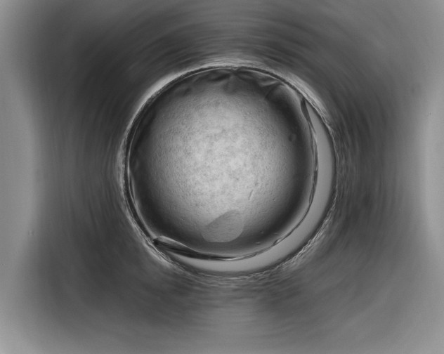 X0000116260854200912071021