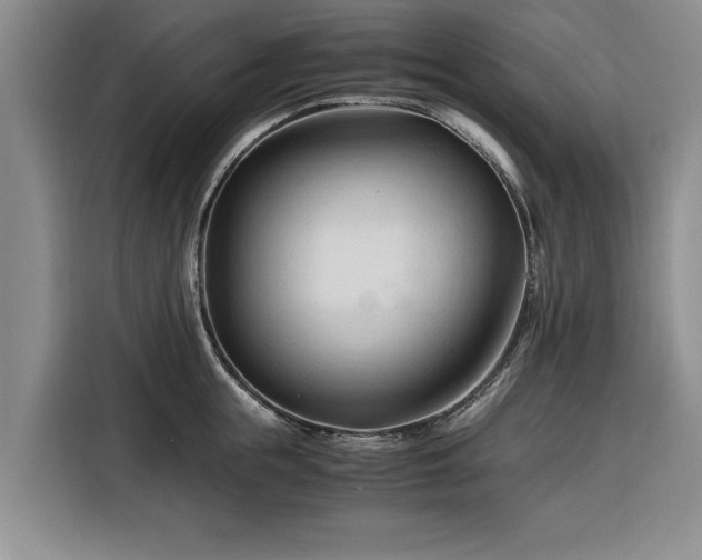 X0000116260855200912071021
