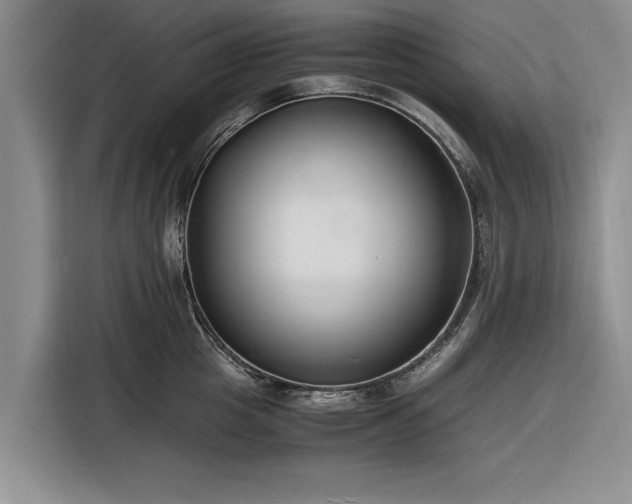 X0000116260857200912071021