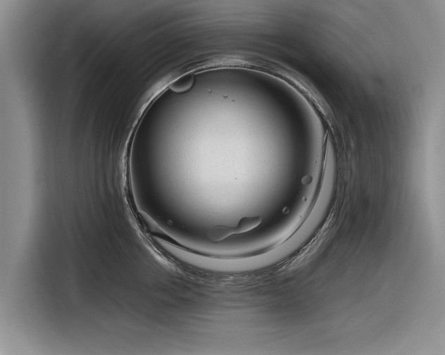 X0000116260858200912071021