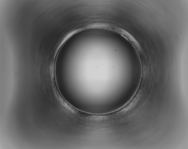 X0000116260860200912071021