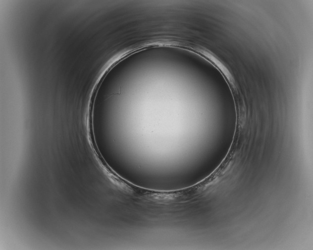 X0000116260861200912071021
