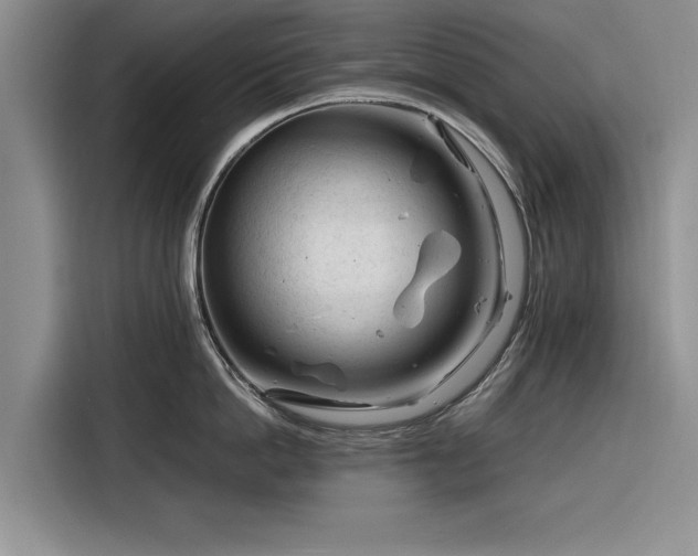 X0000116260862200912071021