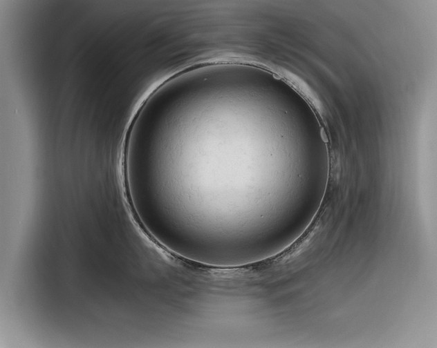 X0000116260863200912071021